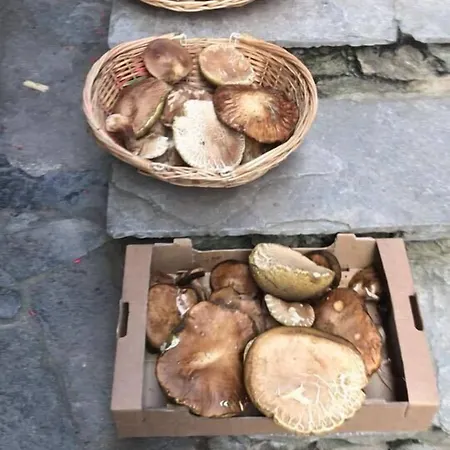 Diffuso La Marmu Osteria Della Croce Bianca Hotel