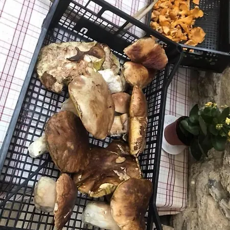 Diffuso La Marmu Osteria Della Croce Bianca 3*