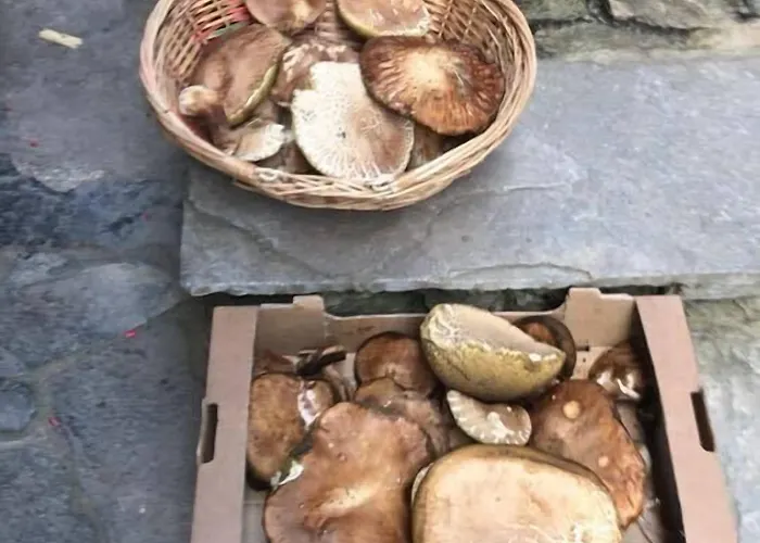 Diffuso La Marmu Osteria Della Croce Bianca ホテル