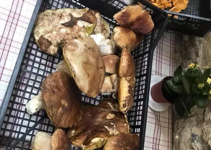 Diffuso La Marmu Osteria Della Croce Bianca 3*